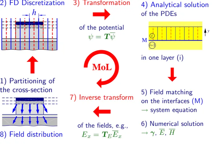 Fig. 4. Microwave electric ﬁeld (arrow width proportional to ﬁeld) in the cross-section of the optimized modulator.