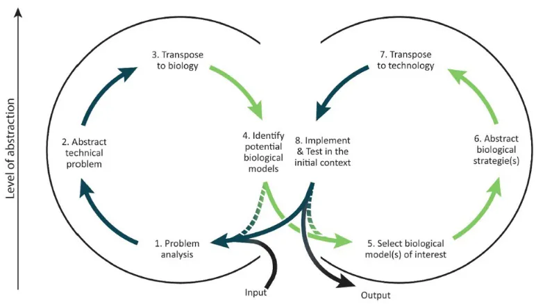 Figure 14. Gaps between fields in the biomimetic design process [2]