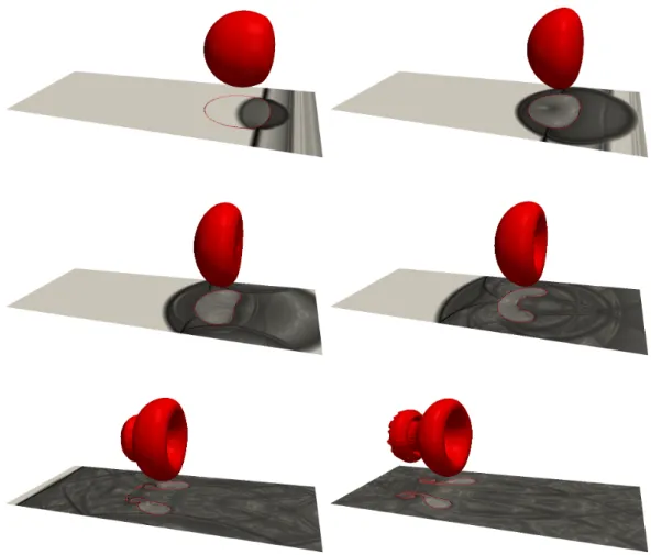 Fig. 6. Interaction of a Mach 1.22 shock propagating in air through an helium bubble (TC1)