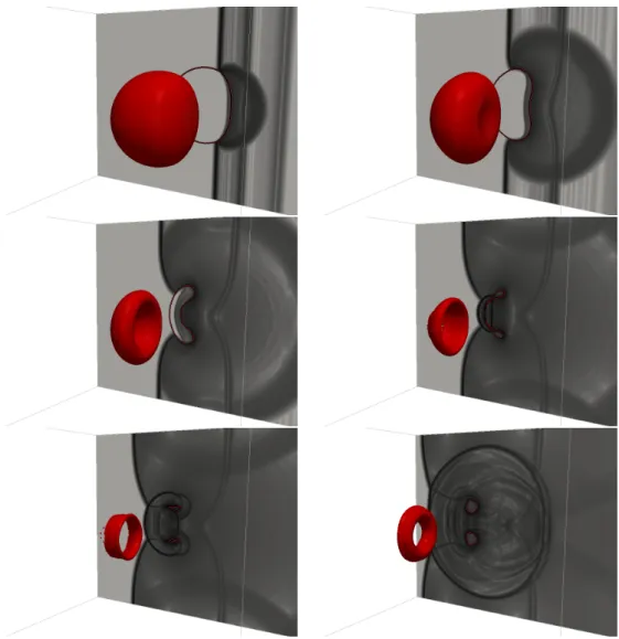 Fig. 8. Interaction of a Mach 1.422 water shock and an air bubble (TC2). Interface and schlieren on the plane z = 0.5 at time t = 37µs, 73µs, 110µs, 132µs, 147µs, 195µs