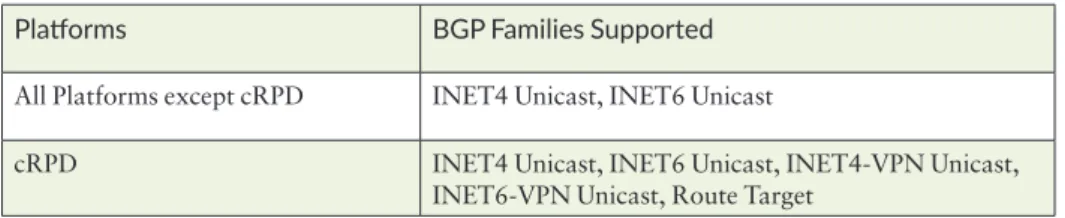 Table 2.1  BGP Address Families Supported in Junos 20.1