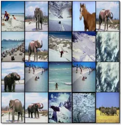 Fig 6:  First 20 images from a database of 1000 images 