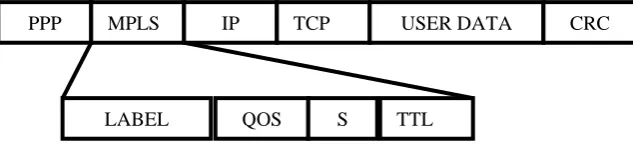 Figure 3 showing format of MPLS header. This MPLS header is put by Ingress router to incoming packets, removed by Egress router and modified by other routers in MPLS Subnet