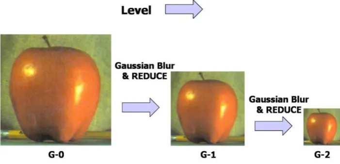 Fig. 1 Construction of Gaussian pyramid. 