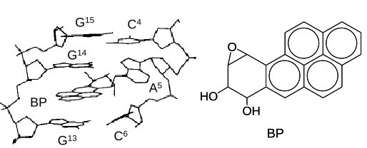 Figure 1.1  