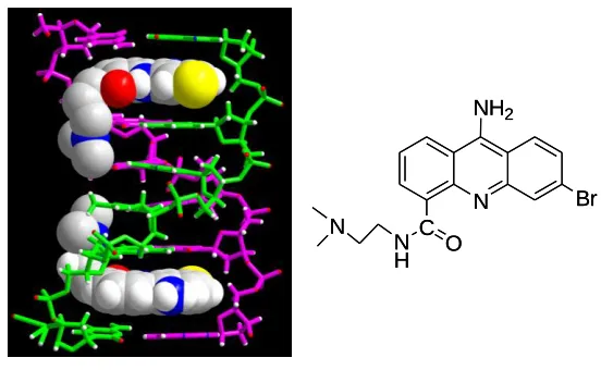 Figure 1.2 