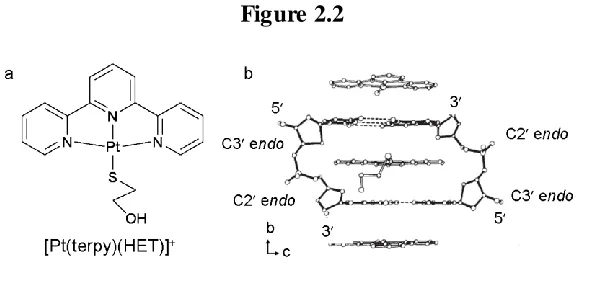 Figure 2.2  