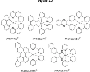 Figure 2.3  