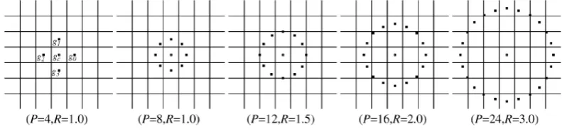 Fig. 2. Circularly symmetric neighbor sets for different (P,R). 