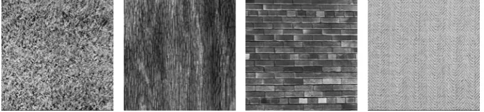 Figure 3: The four textures obtained from the Brodatz database. From left to right: D6, D19, D94 , D16