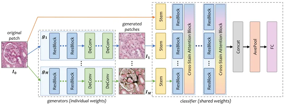 Figure 2: The overall generator-to-classifier (G2C) framework. The left part illustrates the M generators, and the right partthe classifier, in which all M + 1 branches share the same weights