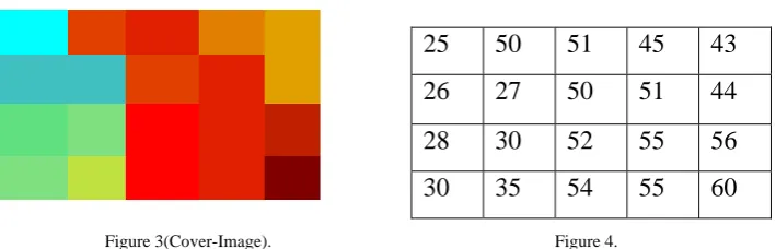 Figure-3 image use as Cover-Image .Gray label matrix of that image is shown in figure-4