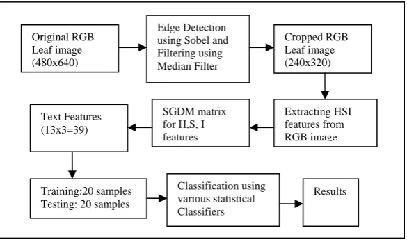 Figure 2: Diagrammatic illustration of Image Acquisition and Feature Extraction of Citrus leaf