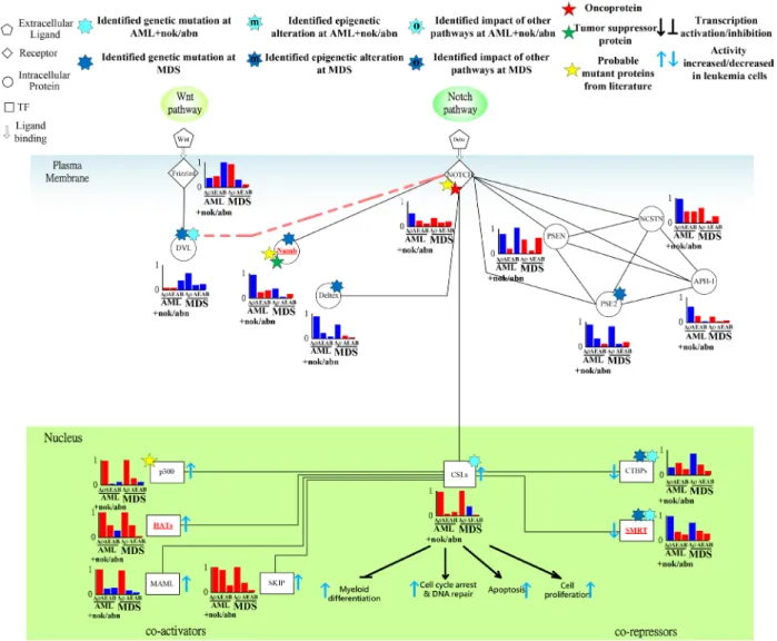 Figure 8: Transductivity sensitivity, error sensitivity, and basal sensitivity of the coupled pathways contributing to  the gain of transductivity of CSLs at AML+nok/abn and MDS cells when comparing to the normal type