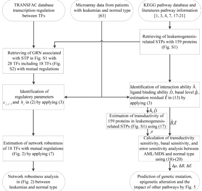 Figure 1: Flowchart of the proposed method for estimating network robustness of the GRNs and for predicting the  impact of genetic mutations, epigenetic alterations and the coupling of other pathways of the proteins in the coupling  STPs (Supplementary Fig