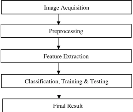 Fig. 1. Flow diagram of proposed scheme. 