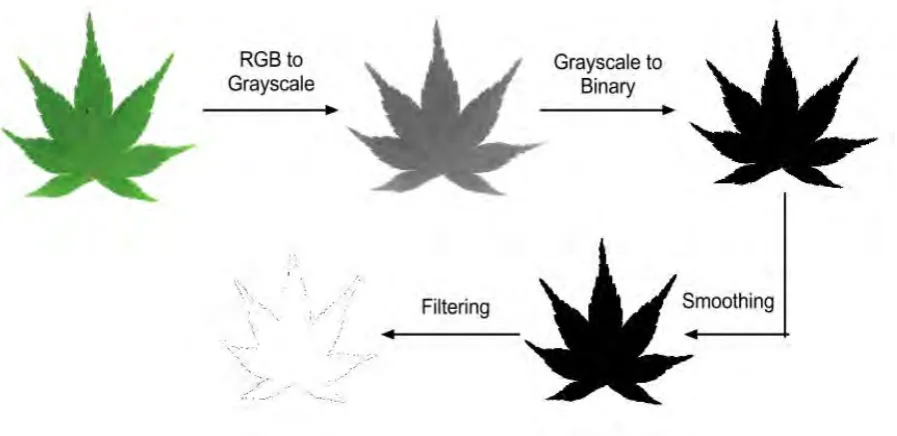 Fig. 3. The five basic morphological features. 