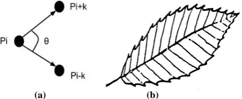 Fig. 4. (a). A tooth point (b). Toothed leaf 