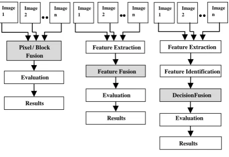 Fig. 1.  Processing Levels of Image Fusion 