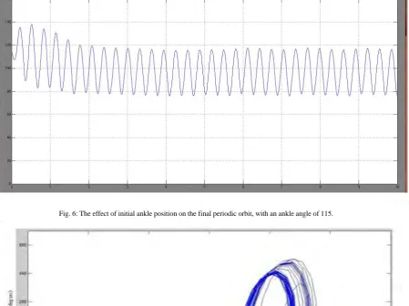 Fig. 6: The effect of initial ankle position on the final periodic orbit, with an ankle angle of 115