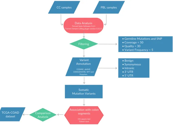 Figure 1: Pipeline applied for the identification of SNVs and/or small indels in the 37 CC patients included in the study.