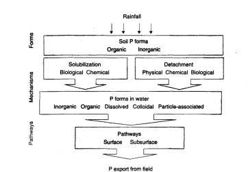Fig. 2.5. A conceptual illustration of the transfer process (adapted from Haygarth and Jarvis, 1999).