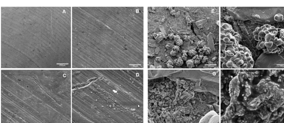 Figure 1. Potential measured with the quasi-reference electrodes (Quasi-RE) or all-solid-state reference electrodes (ASSREs) against aconventional reference electrode at room temperature