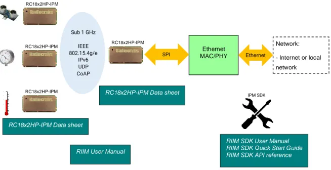 Figure 1. RIIM network – system and documentation overview 