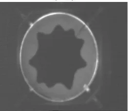 Fig. 2.  The original Image 