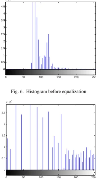 Fig. 5.  The distribution of the gray Level  