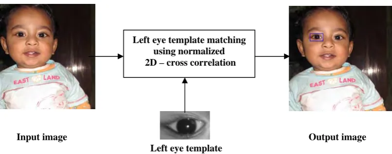 Figure 3a: Extraction of left eye using left eye template. 