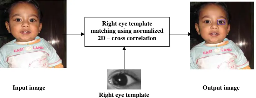 Figure 3b: Extraction of right eye using right eye template. 