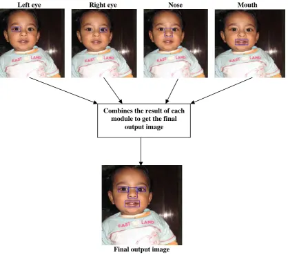 Figure 3e: Extracted features from the input image. 