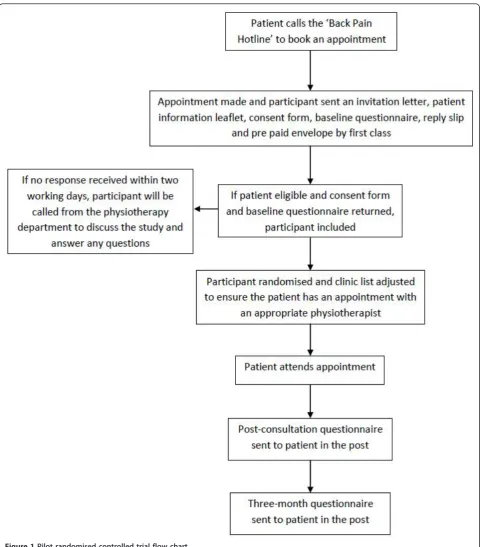 Figure 1 Pilot randomised controlled trial flow chart.