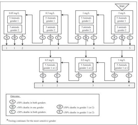Figure 1. LC50 test (OECD test guideline 403) for dusts and mists starting at 5 mg/L.
