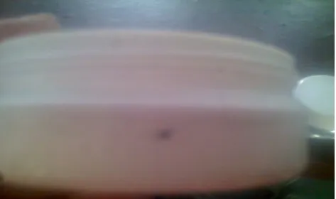 Fig 1: Plastic moulding jar with black dot defect 