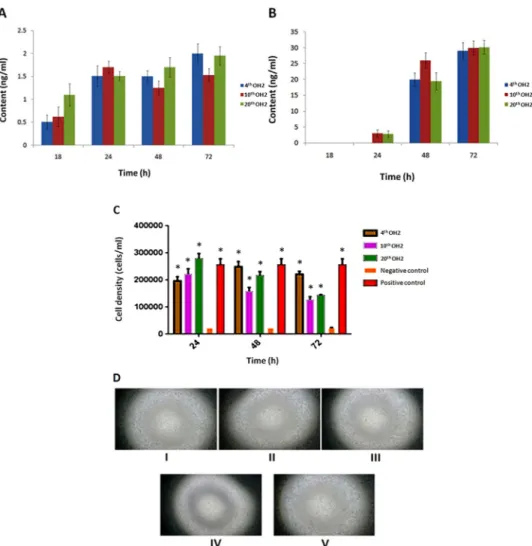 Figure 3: (A) hGM-CSF content in A549 cells infected with 4 th , 10 th , and 20 th  generation OH2 viruses