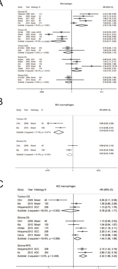 Figure 2:  Forest plot of studies assessing (A) Macrophages (B) Macrophages M1 (C) Macrophages M2 and survival in patients with non- non-small cell lung cancer (NSCLC) stratified according to localisation (in general, tumor or stroma compartment)