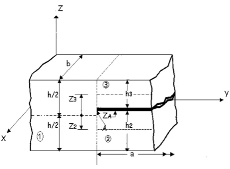 Fig. 4 Plate elements at a delamination crack tip 