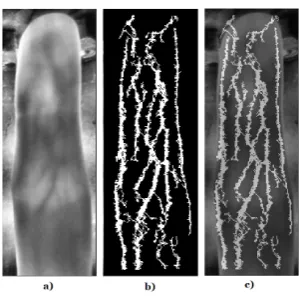 Fig. 9.The ﬁnger vein structures of cam2a) is the processed image up until step 3b) is the vascular pattern of an index ﬁnger using the the repeated linetracking algorithmc) is the combination of a) and b) for visualization purposes