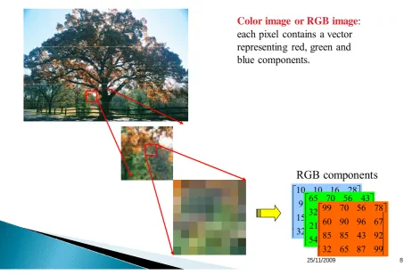 Fig. 4: The color components of a texture image. 