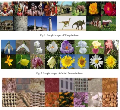 Fig. 8: Sample images of MIT-VisTex database. 