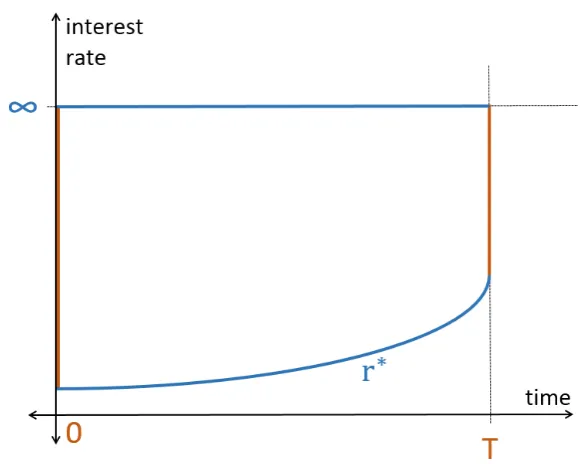 Figure 3.2: Illustration of the boundaries of the mortgage valuationPDE