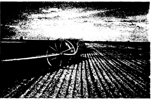 Figure 5. General decrease in irrigation uniformitywith increasing wind speed for lateral spacings of