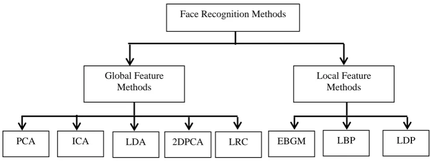 Fig. 2: Classification of Face Recognition Technique 