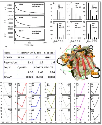 Figure.3. Cosurim extracted results for the crystal structures: 4E19 (halophilic), 1F21 (mesophilic) and 2EHG acidic: ac; basic: bc; polar: po; Ala; Pro and Gly) compositions for the core (co), rim (rim) and the surface (su) are extracted from 4E19 ((therm