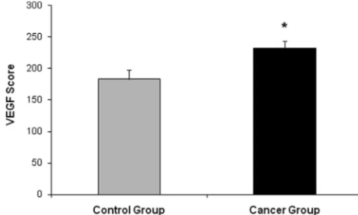 Figure 1. Distribution of vascular-endothelial-growth-factor scores in the control and cancer groups