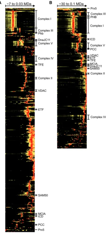 Table 1. Identification and Clustering Coverage of OXPHOS Complex Subunits