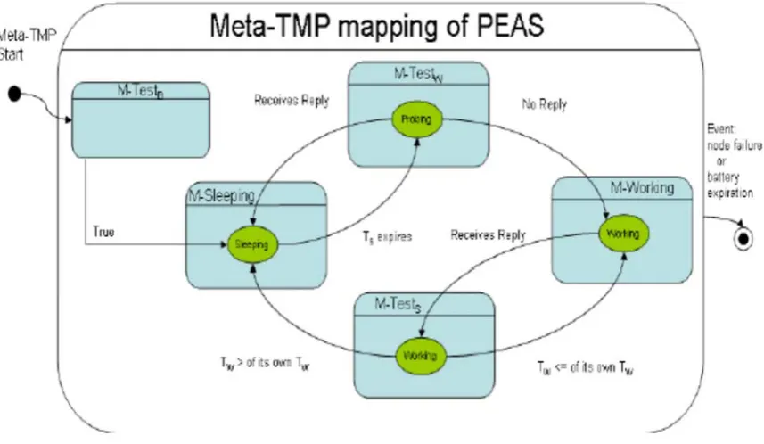 Figure 2: Correspondence between PEAS and the Meta-TMP 