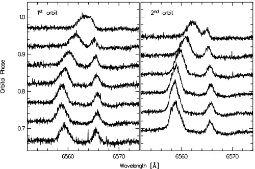 Table 3. Photospheric white dwarf abundances.